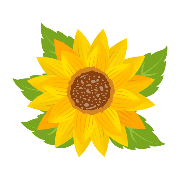 sunflower icon. yellow flower design. vector illustration - Vector, imagen