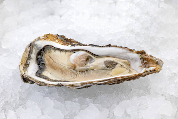 oysters on ice in a restaurant - Foto, Bild
