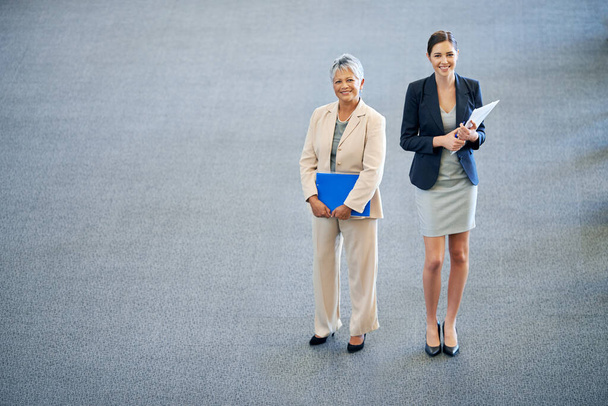 Two generations of success. High angle portrait of two smiling businesswomen - Photo, Image