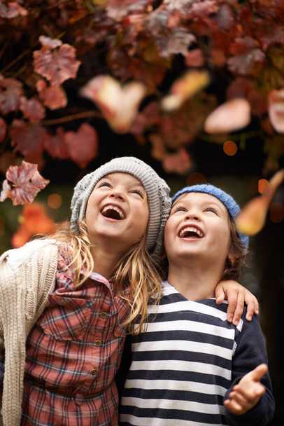 Autumn joy. Two cute kids lauging joyfully while watching Autumn leaves falling from the trees - 写真・画像