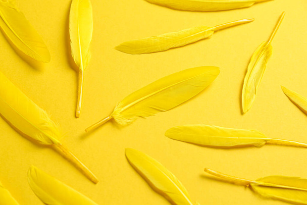 Bright beautiful feathers on yellow background, flat lay - 写真・画像