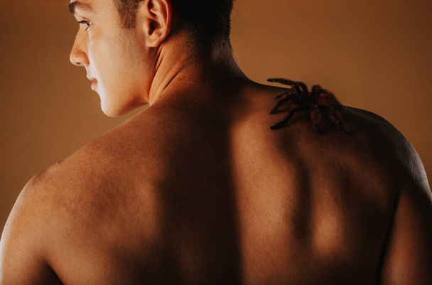 Крупним планом тарантула стоїть на задній частині красивого чоловіка
 - Фото, зображення