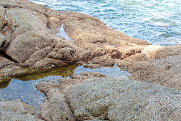 infrapuna kuva kiviä löytyy pitkin rantaa - Valokuva, kuva