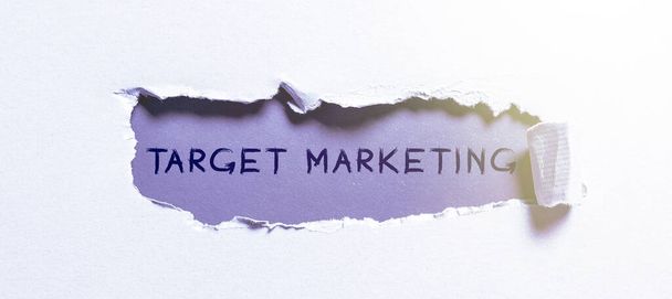 Znak tekstowy pokazujący Target Marketing, Podejście biznesowe Segmentacja rynku Audiencja ukierunkowana Wybór klienta - Zdjęcie, obraz