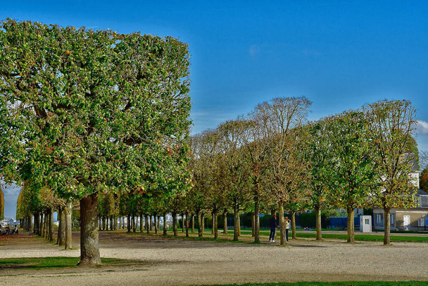 Saint Germain en Laye; Fransa - 26 Ekim 2022: Rönesans Kalesi Parkı - Fotoğraf, Görsel