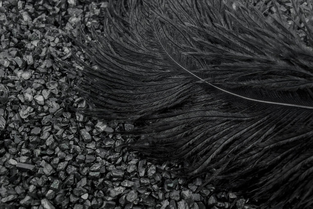 abstratos penas pretas sobre textura de fundo preto  - Foto, Imagem
