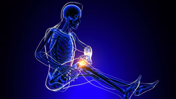 Dolor en las articulaciones de la rodilla Anatomía para el concepto médico Posición sentada de animación 3D - Metraje, vídeo