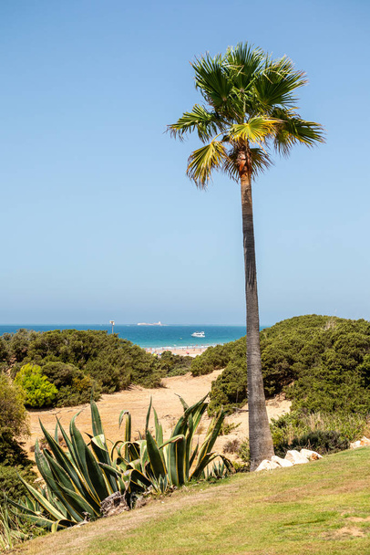 sand dunes that give access to La Barrosa beach in Sancti Petri, Cadiz, Spain - Foto, imagen
