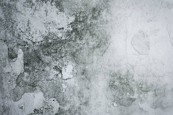 Vintage or grungy white background of natural cement or stone old texture as a retro pattern wall - Foto, Bild