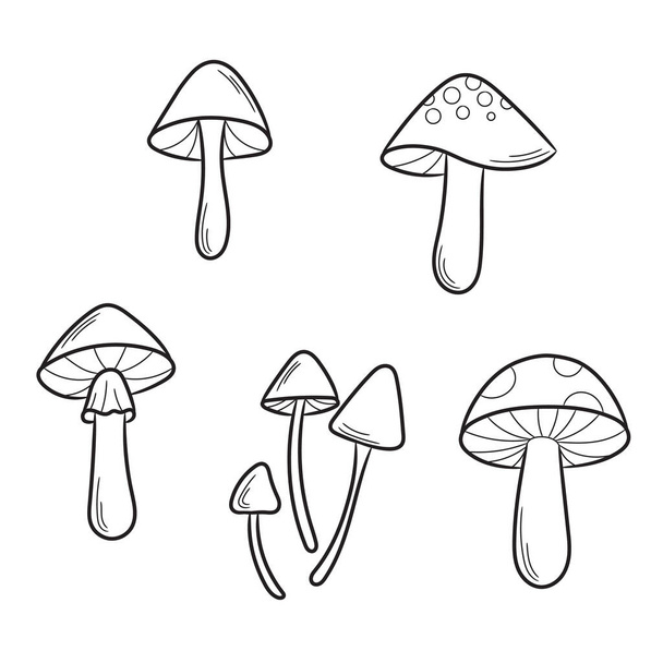 Line art vector mushroom illustration set, hand drawn mushroom elements, isolated - Wektor, obraz