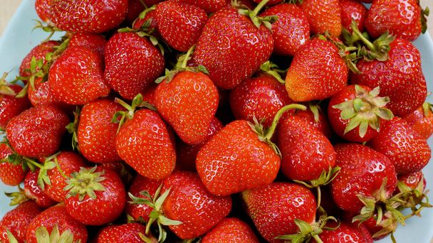 Fresas orgánicas maduras rojas jugosas. Fondo de fresa. - Foto, imagen
