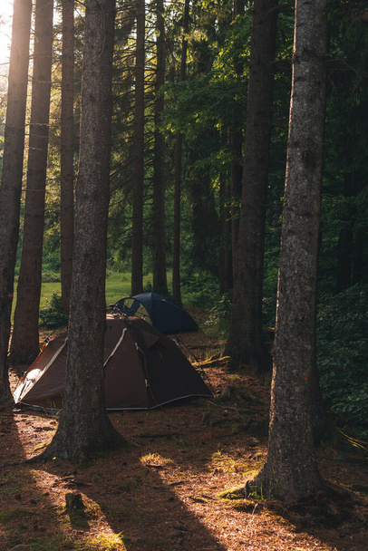 A brown tourist tent stands on the forest, pine trees on a sunny summer morning. No body. Camping and tourism. Travel and vacation. Vertical photo. - Photo, Image