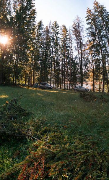 Camp, camping in wilderness. Travel and tourism by car. Vehicle near tall coniferous trees. Tents and active recreation in the Carpathian Mountains. Vertical photo - Фото, зображення