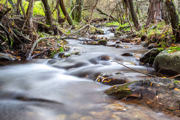 Dühöngő hegyi folyó. Hegyvidéki táj ősszel. A folyó mentén kövekkel. A Sierra vize és növényzete. A Sierra de Madrid folyó. - Fotó, kép