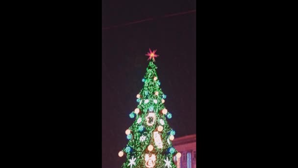Красивая мерцающая елка на площади ночью, звезда мерцает - Кадры, видео