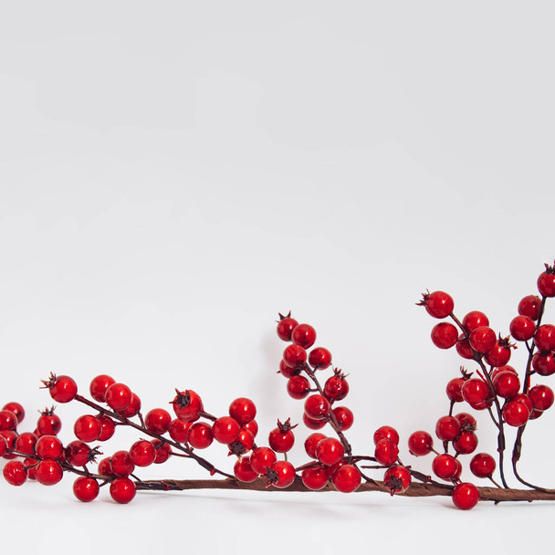 Christmas or winter composition. Red berries on white background. Xmas, winter and New Year concept. Minimal style. - Photo, Image