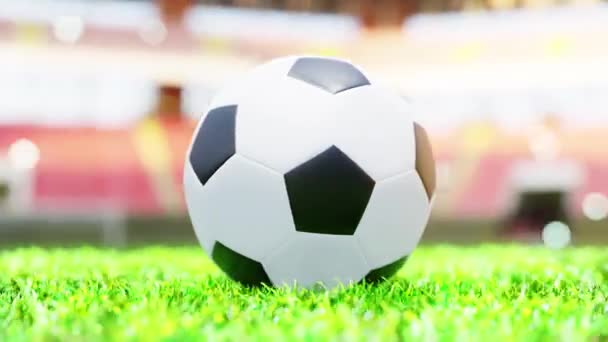 Football On Grass, spor kupaları ve futbol sahnelerinde sinema için kullanılan hareketli bir görüntüdür. Sahne, başlık ve logolar için de iyi bir geçmiş.. - Video, Çekim