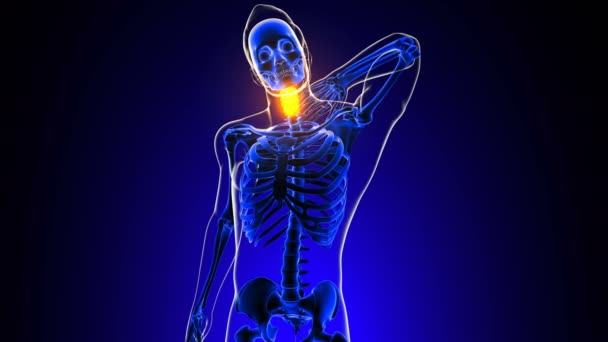 Dolor en la articulación cervical de la columna vertebral Anatomía para el concepto médico Animación 3D - Imágenes, Vídeo