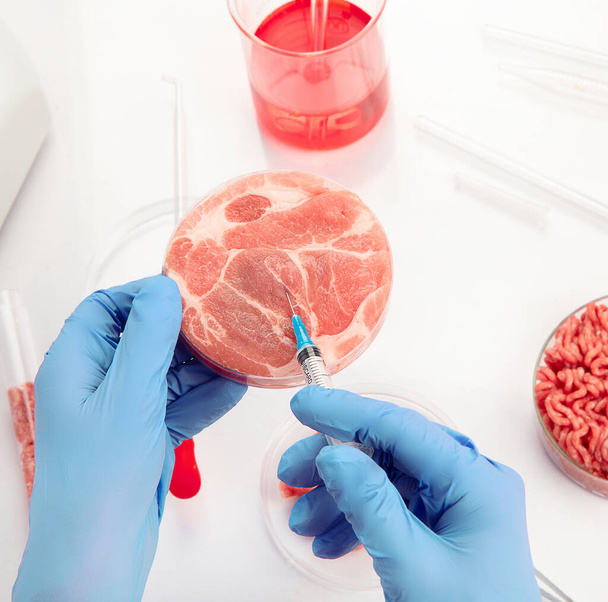 Petri dish with cultured meat in laboratory. Concept of clean meat cultured - Zdjęcie, obraz