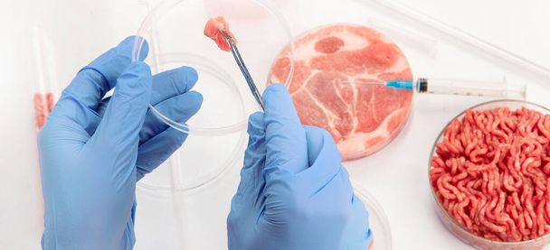 Petri dish with cultured meat in laboratory. Concept of clean meat cultured - Foto, Imagen