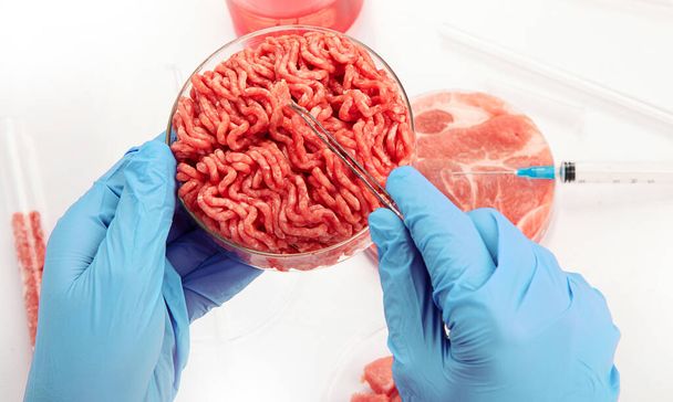 Petri dish with cultured meat in laboratory. Concept of clean meat cultured - Foto, imagen
