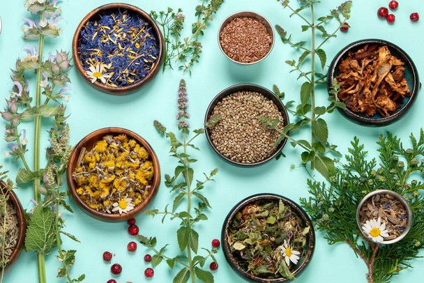 Alternative herbal medicine on green background. Homeopatic flower and herbs remedies. Top view - Fotografie, Obrázek