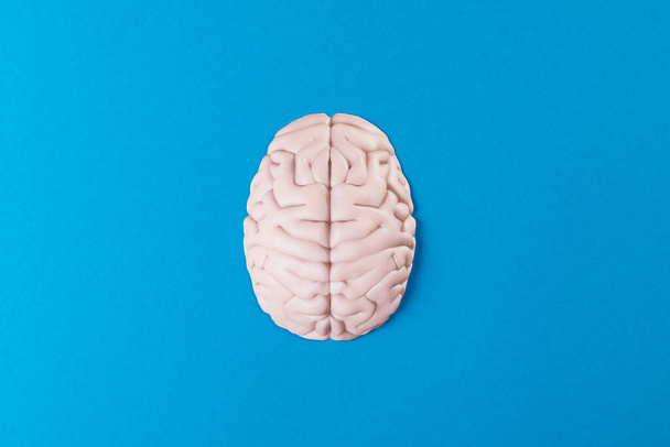 Overhead of white brain on blue background with copy space. Medicine, mental health, science and healthcare concept. - Фото, зображення