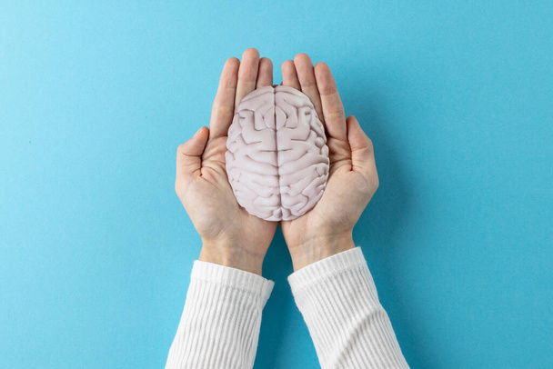 Composition of hands holding brain on blue background with copy space. Medical services, healthcare and mental health awareness concept. - Φωτογραφία, εικόνα