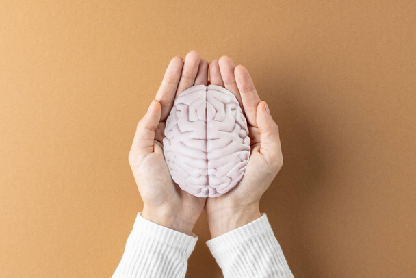 Composition of hands holding brain on brown background with copy space. Medical services, healthcare and mental health awareness concept. - Valokuva, kuva