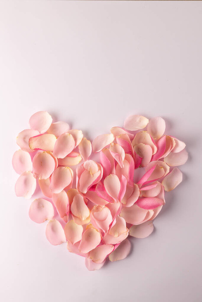 Vertical overhead image of pink rose petals in heart shape on white background, with copy space. Valentine's day, romance, love and celebration. - Photo, Image