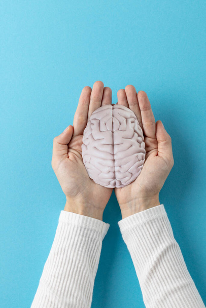 Vertical composition of hands holding brain on blue background with copy space. Medical services, healthcare and mental health awareness concept. - Foto, Imagem