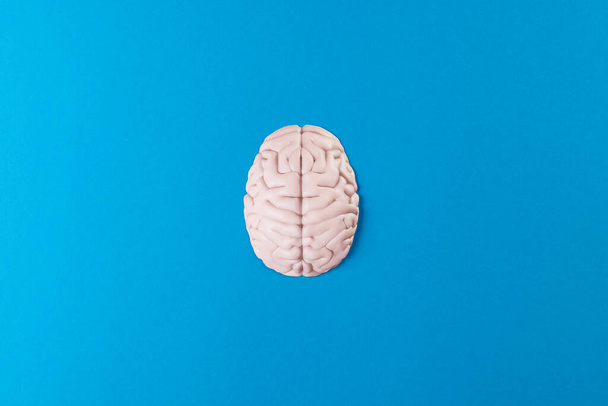 Overhead composition of white brain on blue background with copy space. Medicine, mental health, science and healthcare concept. - Fotó, kép
