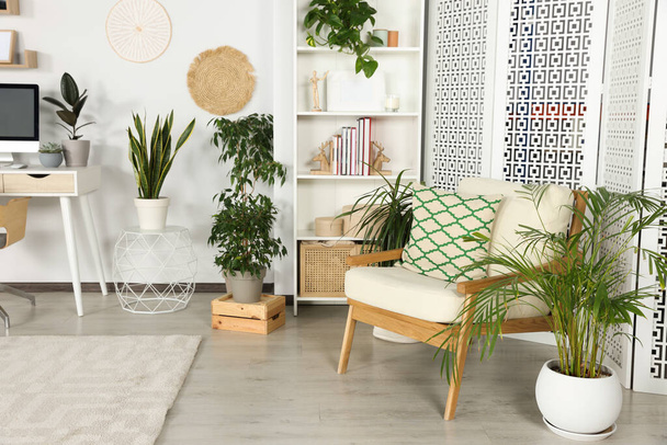 Stylish room interior with comfortable armchair and beautiful houseplants - Fotó, kép