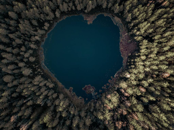 Hoge hoek uitzicht op hartvormige vijver in het midden van boreale bos. Drone standpunt. - Foto, afbeelding