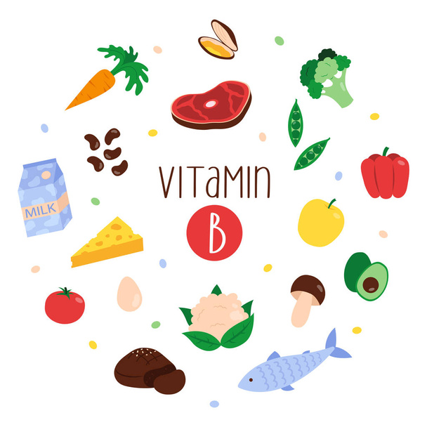 Collection of vitamin B sources. Dietetic products, organic natural nutrition. Flat vector illustration - Vector, Image