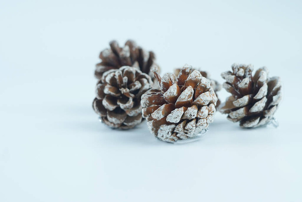 Conos de pino decorativos con nieve artificial, aislados sobre el fondo blanco seleccionado foco - Foto, imagen