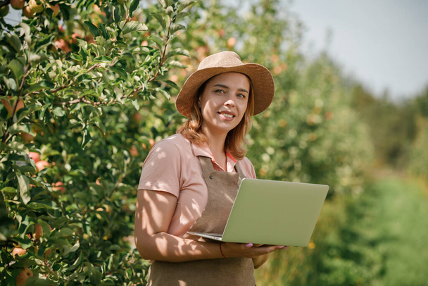 Atrakcyjny agronomista lub rolnik z laptopem stojącym w sadach jabłkowych i sprawdzającym owoce, robi notatki. Koncepcja rolnictwa i ogrodnictwa. Zdrowe odżywianie - Zdjęcie, obraz