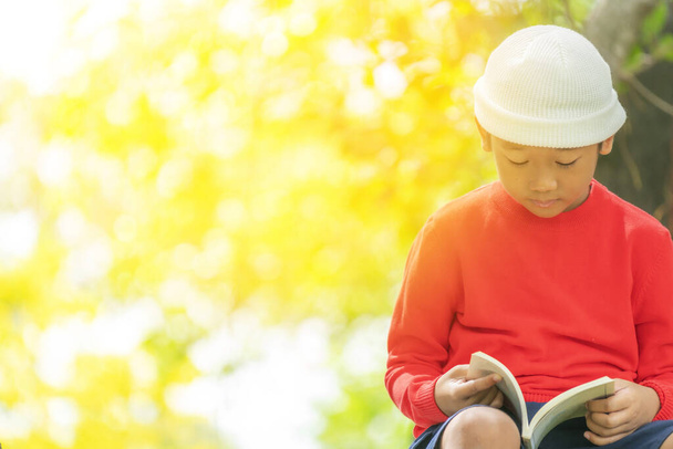 赤いTシャツのかわいい男の子は、背景がぼやけている公園で本を読んでいるとフレアの夕日. - 写真・画像