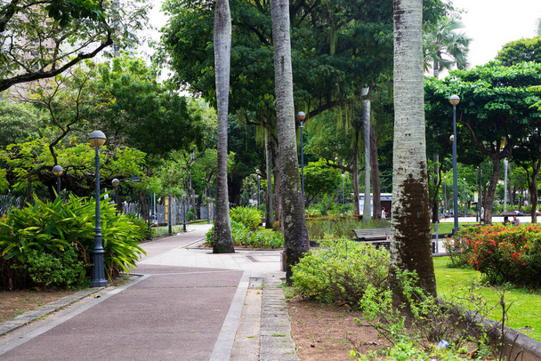 Salvador, Bahia, Brazílie - 29. října 2022: Rua do Largo do Campo Grande obklopen rostlinami a stromy. Salvador city. - Fotografie, Obrázek