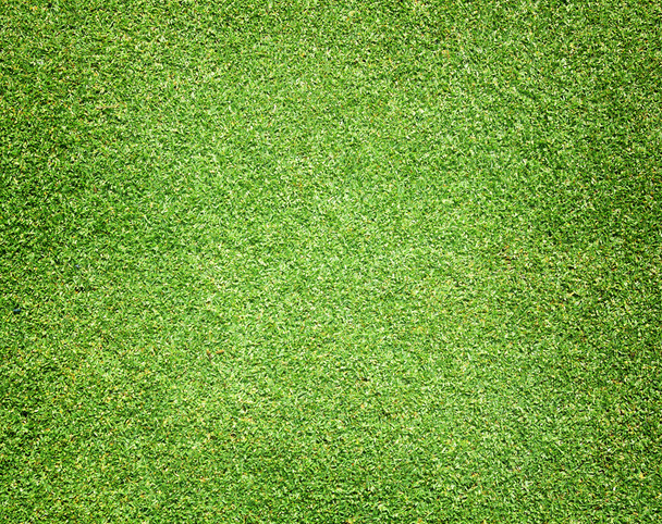 Golf sahaları yeşil çim - Fotoğraf, Görsel