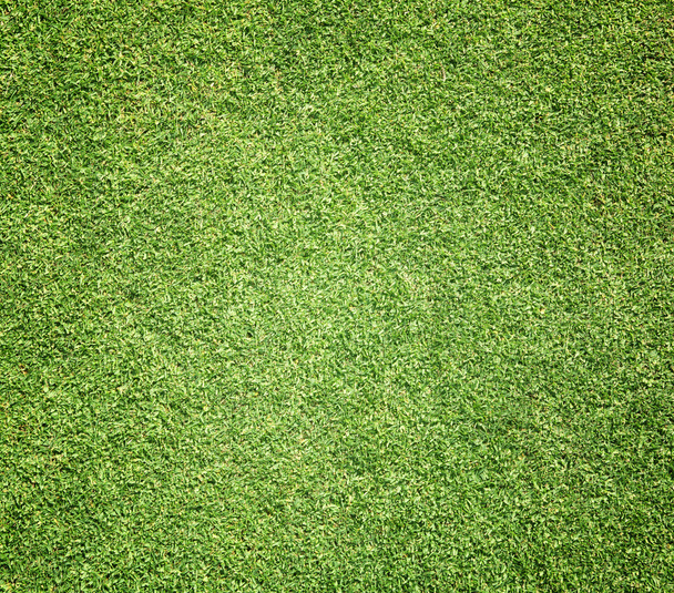 Campos de golf césped verde
 - Foto, imagen