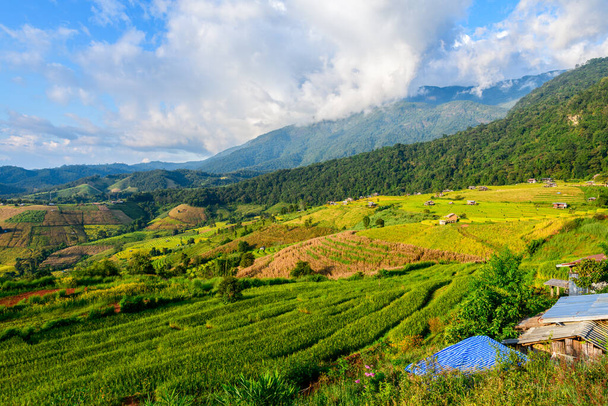 Landscape of Pa Pong Piang Rice Terraces with homestay on mountain, Mae Chaem, Chiang Mai, Northern of Thailand, agricultural and deforestation concept - Photo, Image