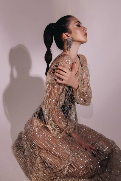 photo studio de mode de belle femme sexy avec les cheveux foncés dans la robe de soirée luxueuse et accessoires - Photo, image