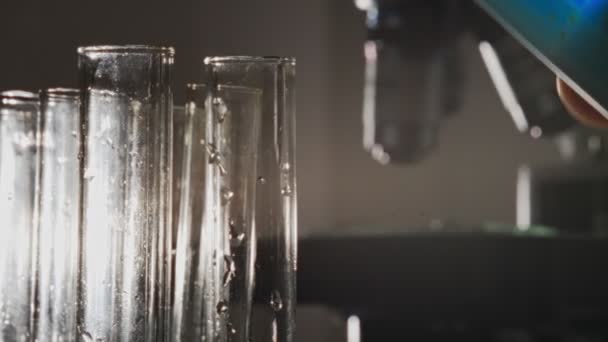 Pouring liquid into laboratory test tubes. - Footage, Video
