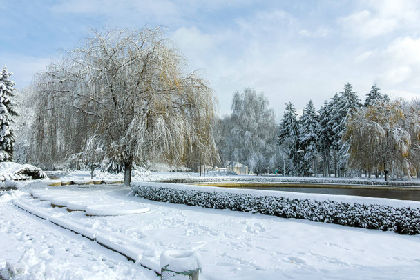Amazing Winter view of South Park in city of Sofia, Bulgaria - Zdjęcie, obraz