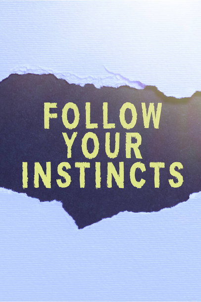 Escribir mostrando texto Siga sus instintos, Concepto de Internet escuche su intuición y escuche su corazón - Foto, imagen