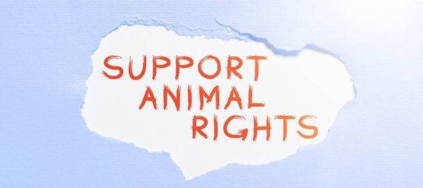 Inspiração mostrando sinal Suporte Direitos dos Animais, Proteção de visão geral de negócios e tratamento adequado de todos os animais - Foto, Imagem