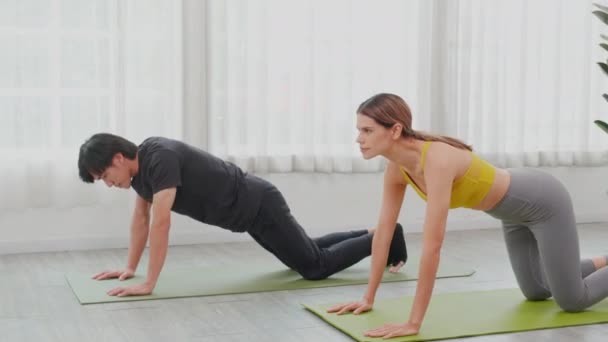 Jonge vrouw en aziatische man oefenen workout met poserende plank terwijl het strekken van handen en benen op mat thuis, vrouwelijke en mannelijke doen gewicht training met kracht en sterke, twee mensen, sport concept. - Video