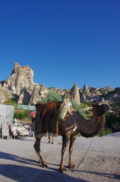 Uchisar - Turquía - Un camello para excursiones turísticas y el famoso castillo en el fondo - Foto, imagen