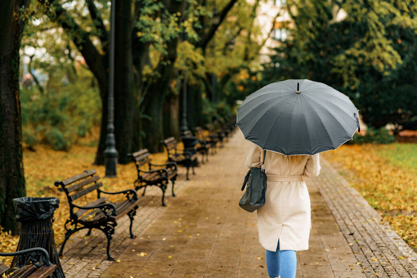 Mujer con paraguas negro contempla mientras camina frente a un parque. - Foto, Imagen